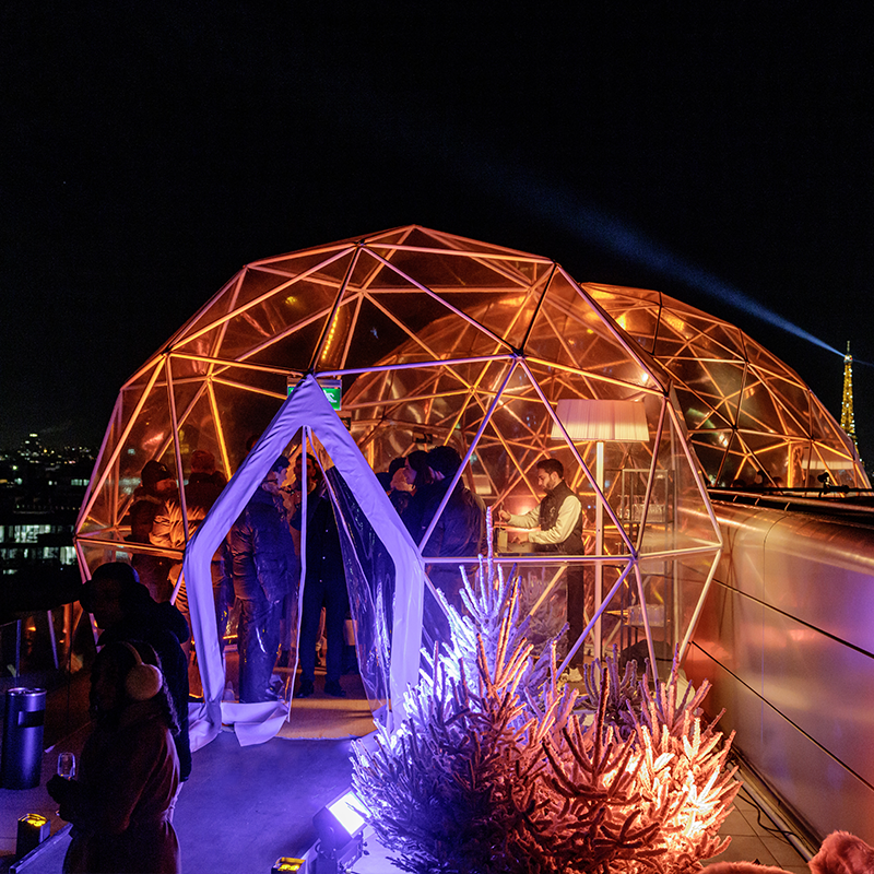 Organisation d'une soirée à Thème pour noel