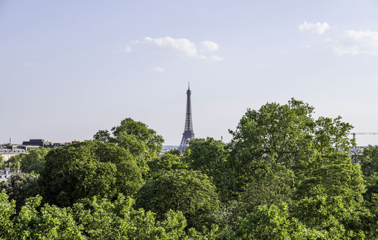 Vue sur la tour Eiffel depuis le Rooftop Courcelles